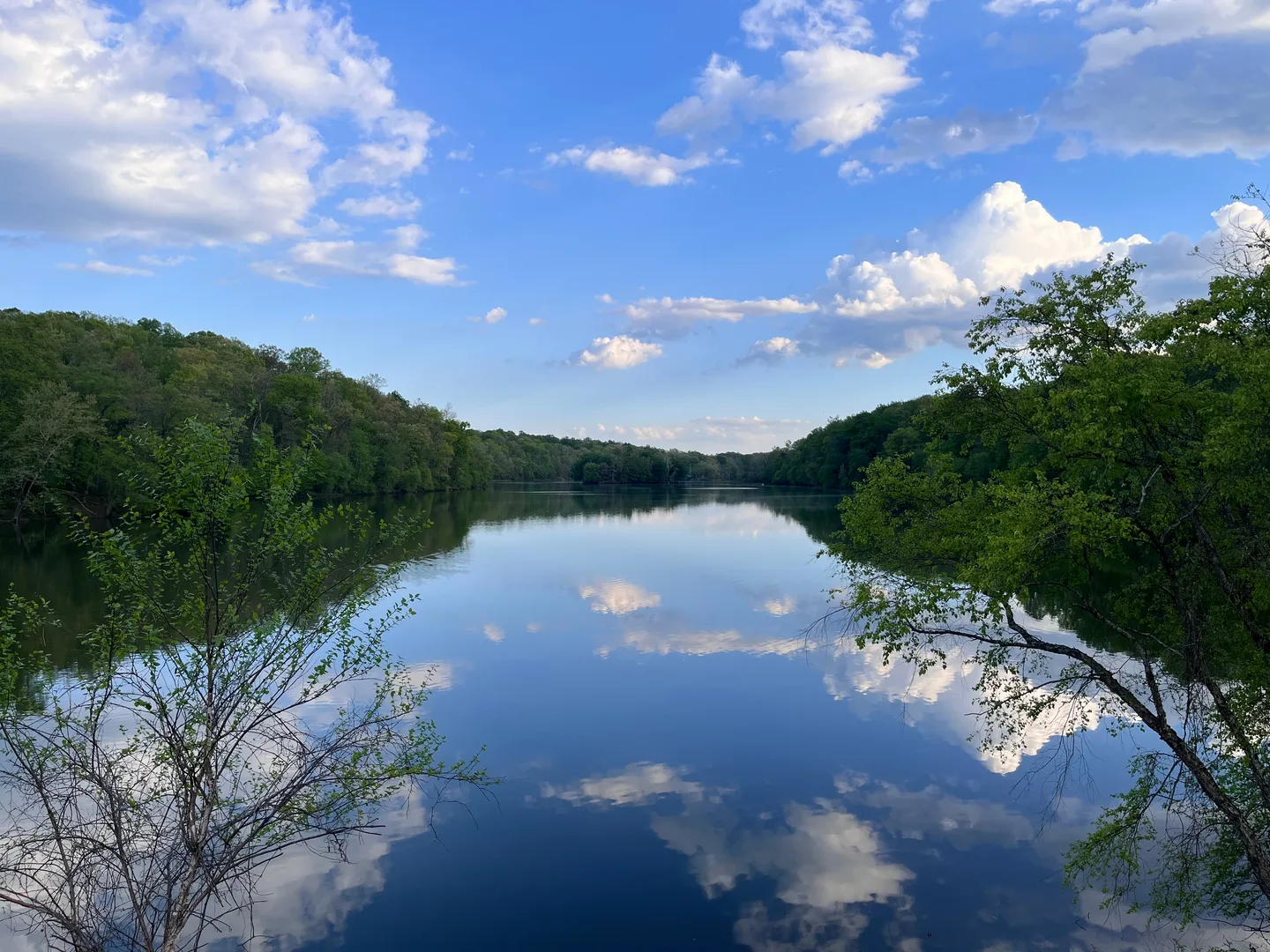 蓝天白云倒映在安静的湖面上，岸边被绿色树林包围